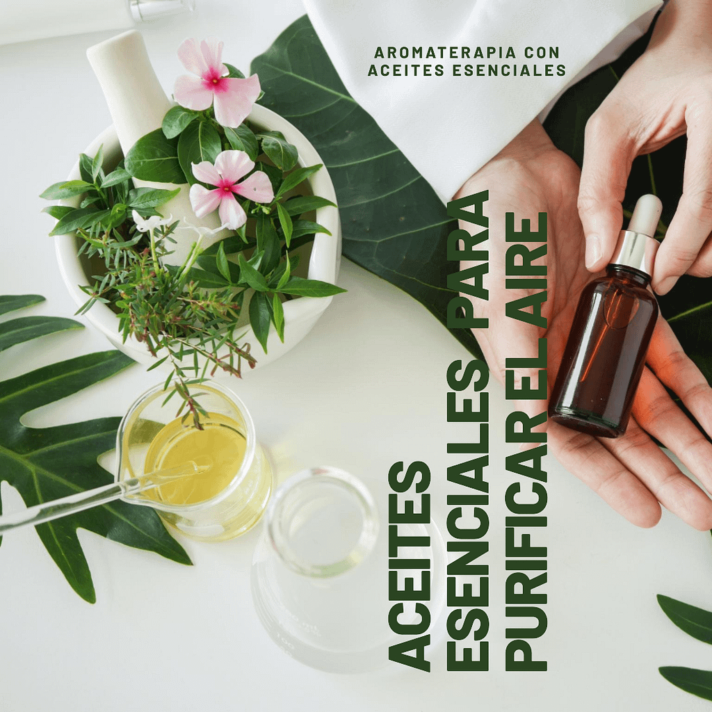 Purificar el aire de casa con aceites esenciales naturales de aromaterapia con alma